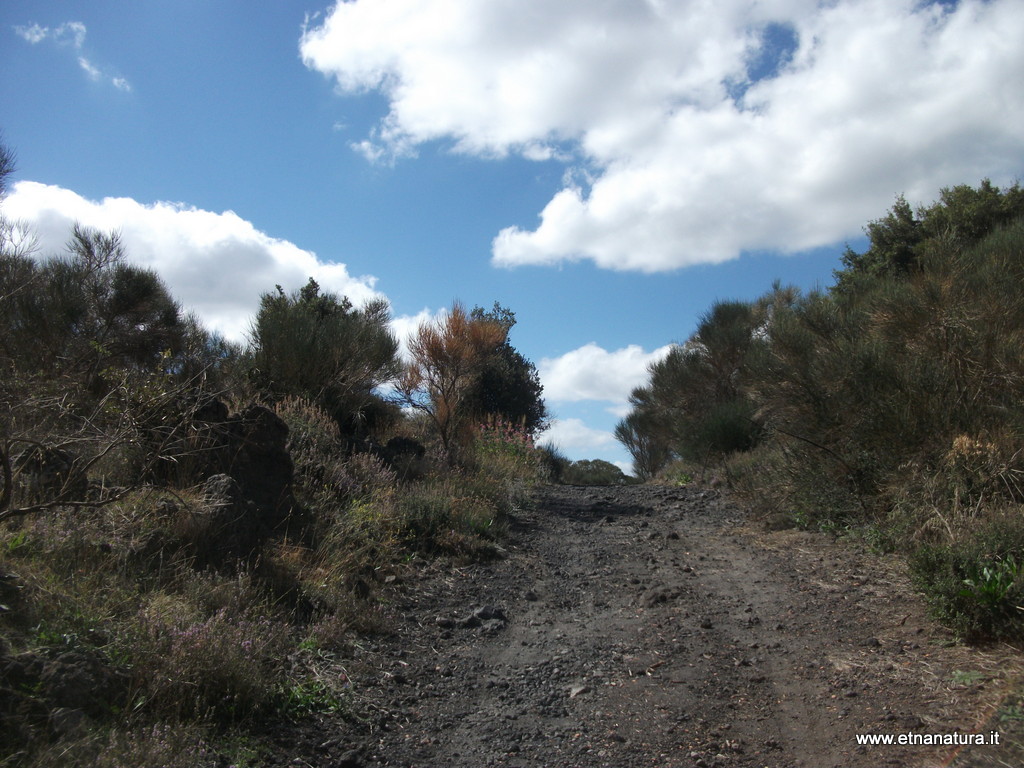 otta san Nicola-13-09-2013 15-00-10